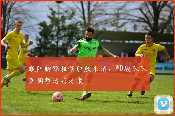 暖阳脚踝扭伤肿胀未消，WB战队队医调整治疗方案