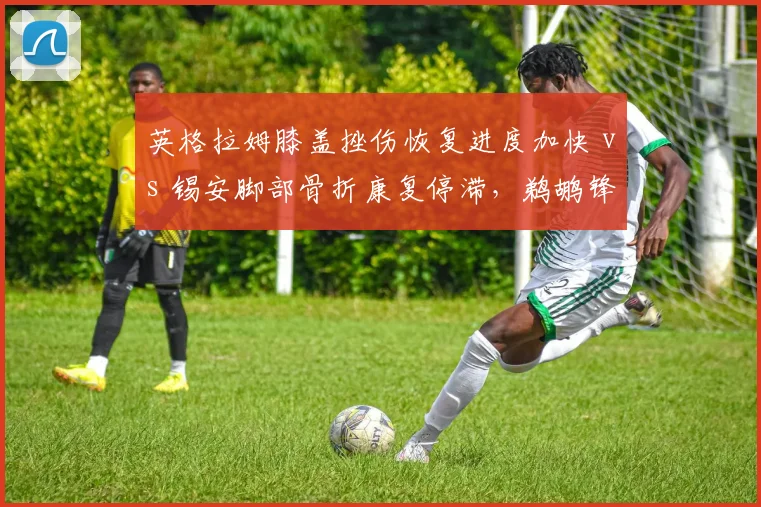 英格拉姆膝盖挫伤恢复进度加快 vs 锡安脚部骨折康复停滞，鹈鹕锋线天赋何时同框